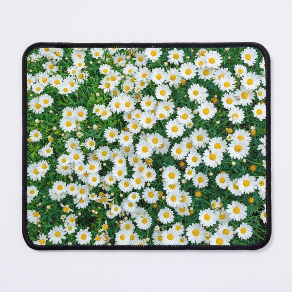 Item preview, Daisies Overhead designed and sold by MarkUK97.