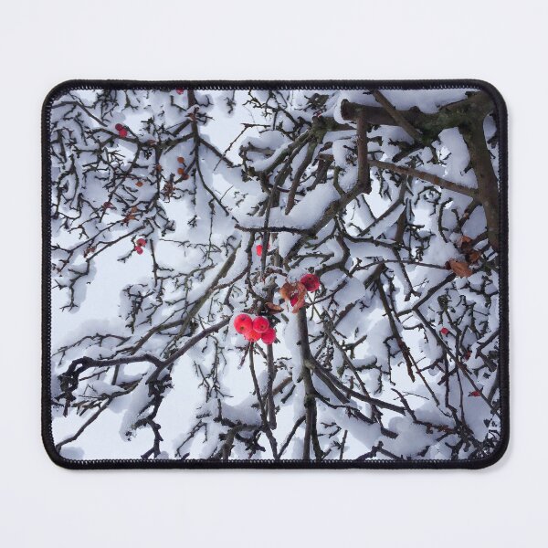 Item preview, Red winter berries in the snow. designed and sold by LindaCooke.