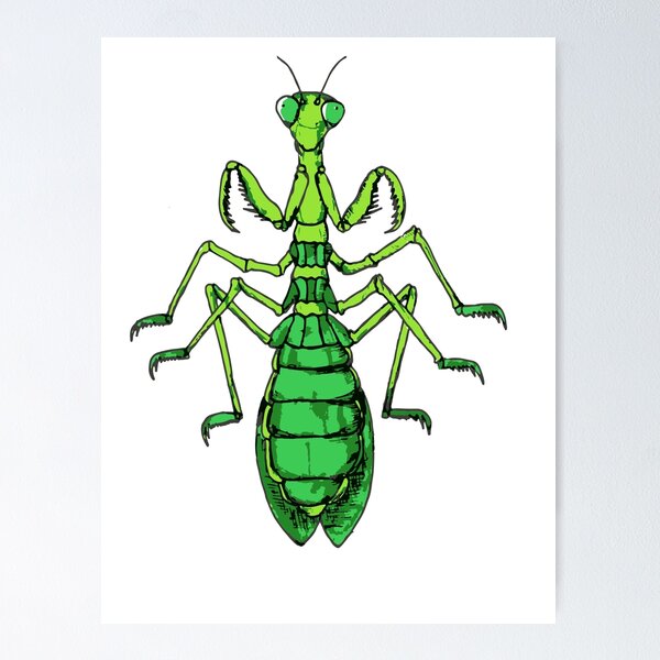 Item preview, Preying mantis  designed and sold by pmelton317.