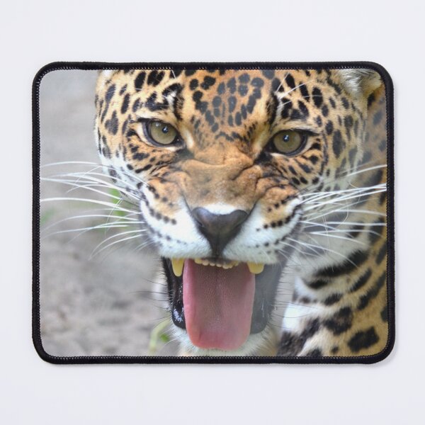 Item preview, Snarling Jaguar designed and sold by richardbryce.
