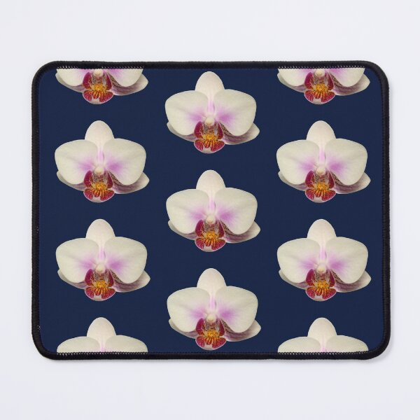 Item preview, Phalaenopsis or Moth Orchid 2 designed and sold by quentinjlang.