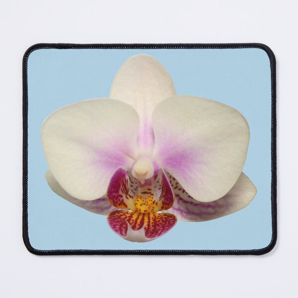 Item preview, Phalaenopsis or Moth Orchid 4 designed and sold by quentinjlang.