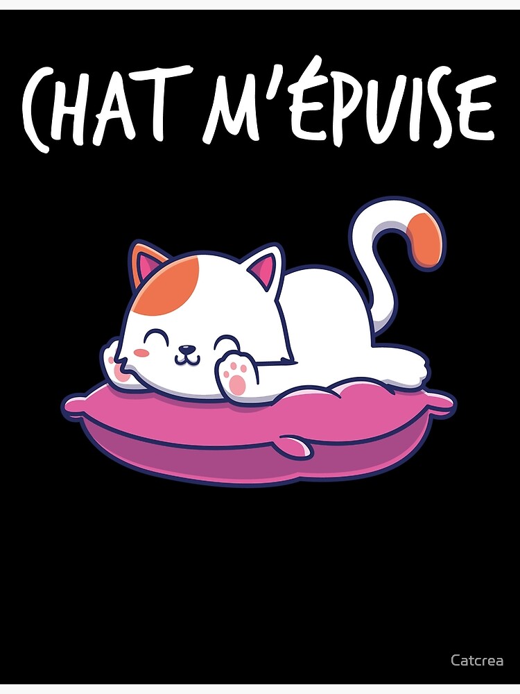 Chat m'épuise