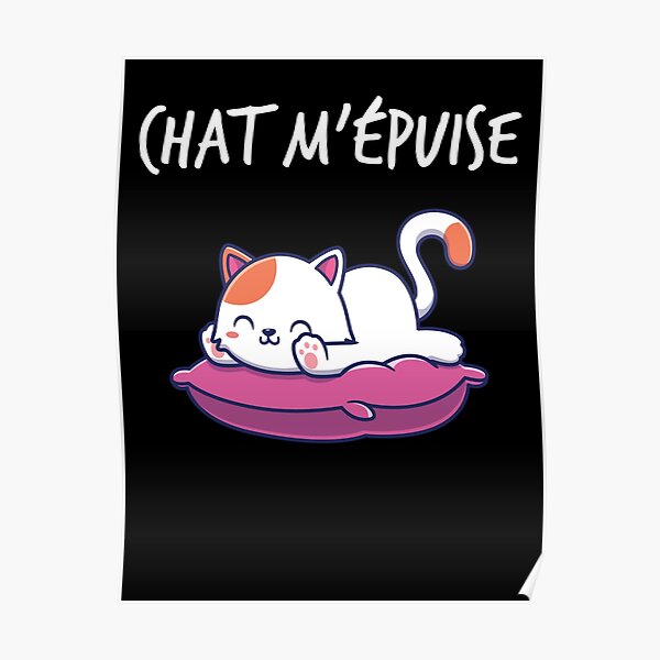 Poster Humour Chat Me Detend Chat Kawaii Par Catcrea Redbubble