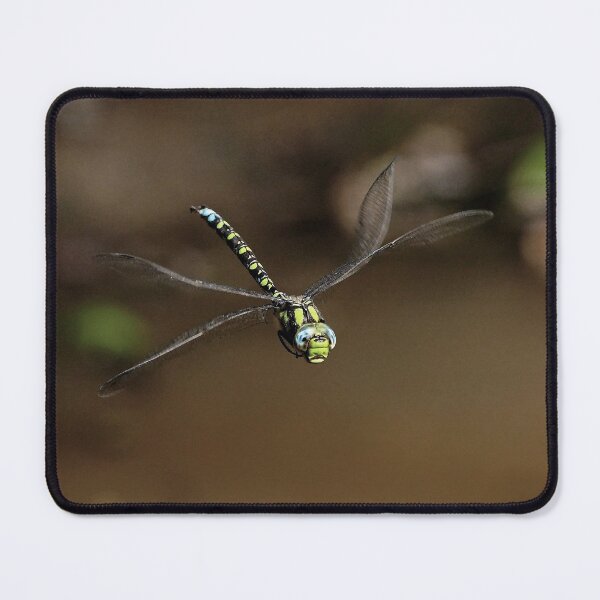 Item preview, r1842/ new photo :Un Amour de Libellule - Dragonfly  a1 (c)(h)  Olavia-Olao par Okaïo Créations  2016 designed and sold by o.okaïo.