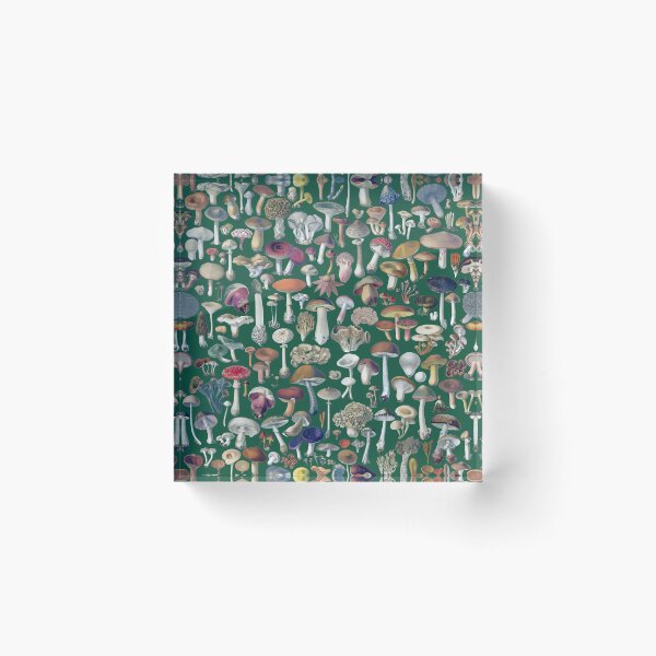 Item preview, Vintage mushrooms pattern - green designed and sold by martstudio.