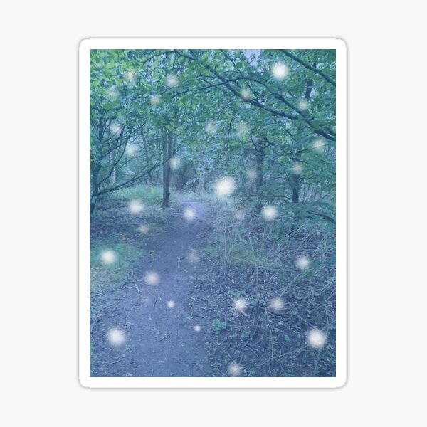 Enchanted Forest Sticker