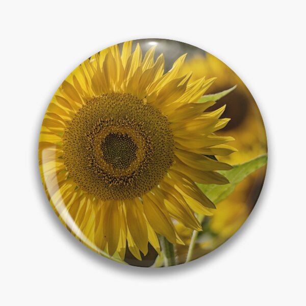 Item preview, close up of sunflower in a field designed and sold by Ronenvief.
