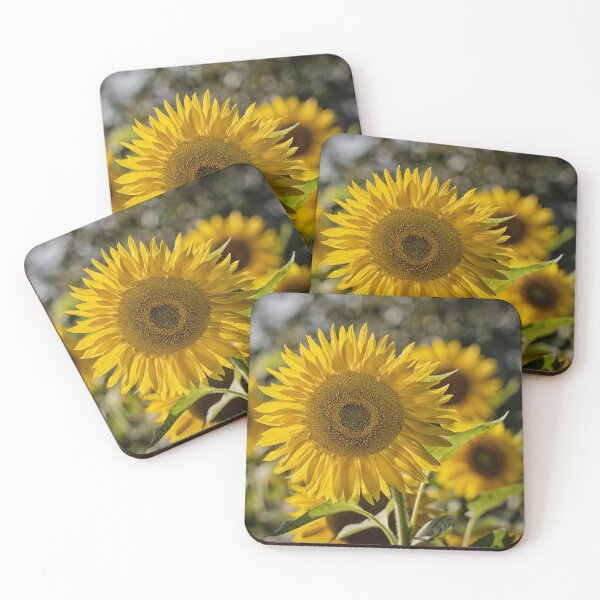 Item preview, close up of sunflower in a field designed and sold by Ronenvief.