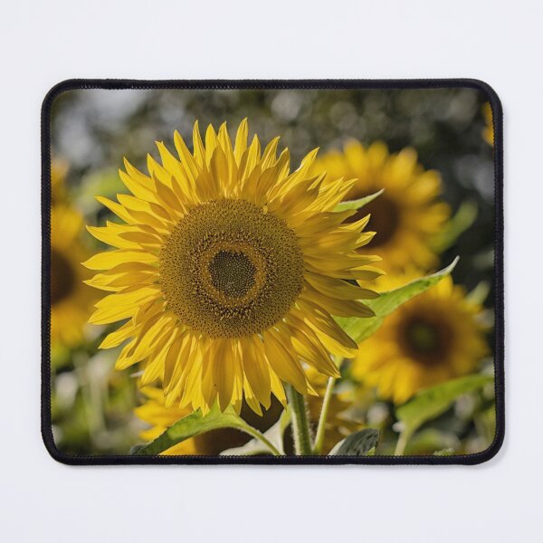 Item preview, close up of sunflower in a field designed and sold by Ronenvief.