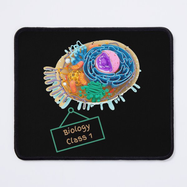 Item preview, Let's remember our first biology class designed and sold by Nabello.