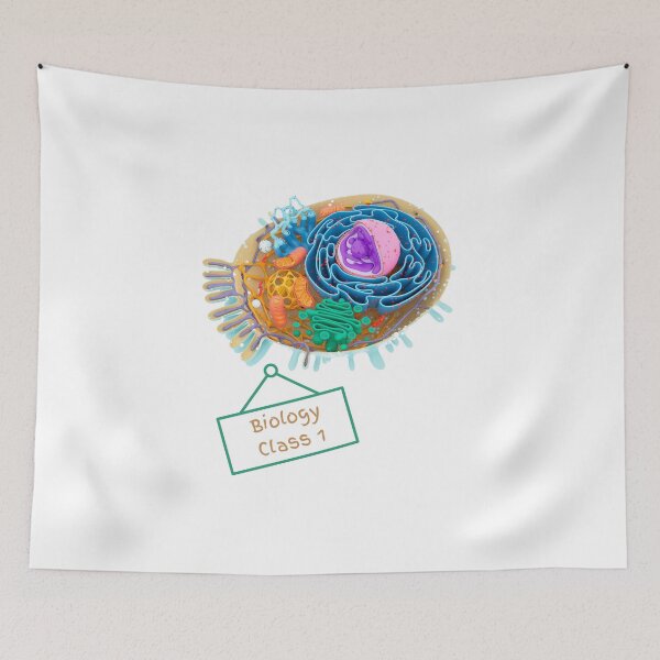 Item preview, Let's remember our first biology class designed and sold by Nabello.