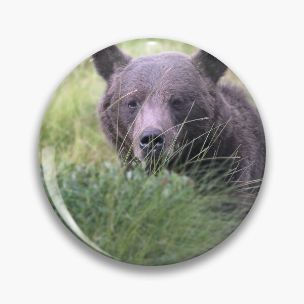 Item preview, Brown bear (Ursus arctos) designed and sold by Catharina Dahlqvist.