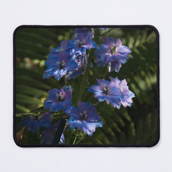 Item preview, Larkspurs and Ferns - a Lush Summer Garden designed and sold by Georgia Mizuleva.