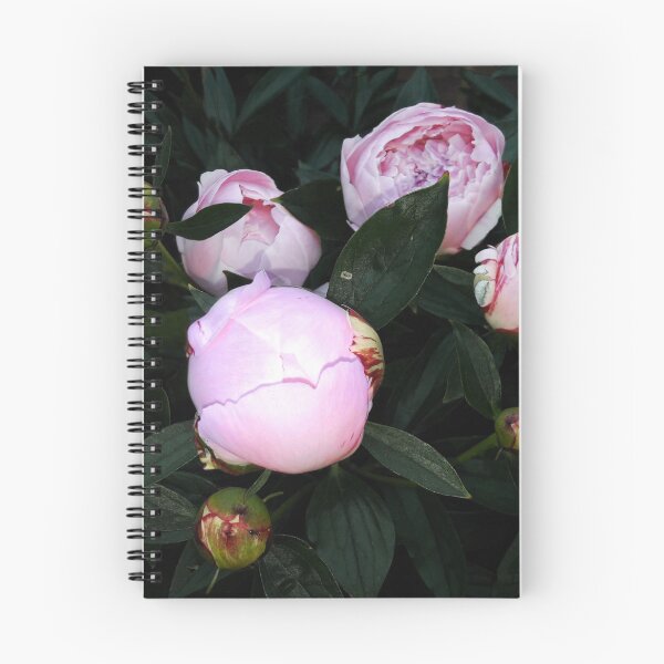 Item preview, Peony buds designed and sold by Robert Elfferich.