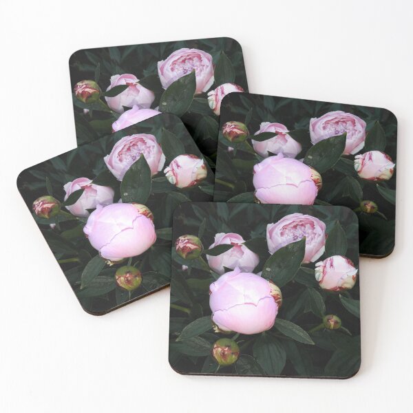 Item preview, Peony buds designed and sold by Robert Elfferich.
