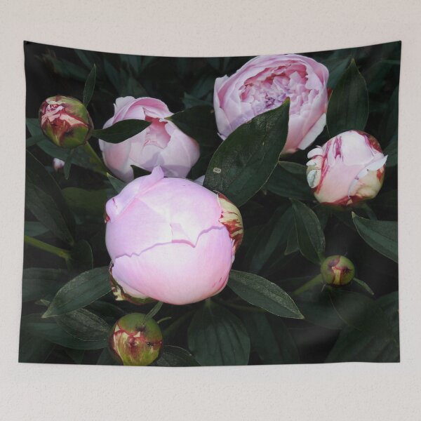 Item preview, Peony buds designed and sold by Robert Elfferich.