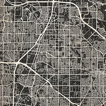 Aperçu de l'œuvre Richardson map Texas Ink lines 2 de InkMaps