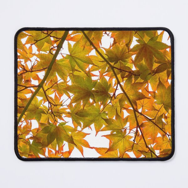 Item preview, Under the Japanese Maple - Impressions Of Fall designed and sold by Georgia Mizuleva.