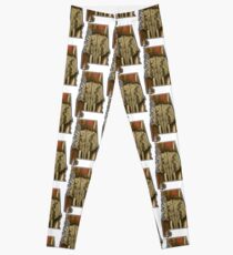 Alabama Crimson Tide State Outline Leggings