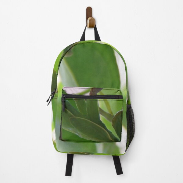 Item preview, Creepy crawly Mantis waits to pounce designed and sold by rayscollection.