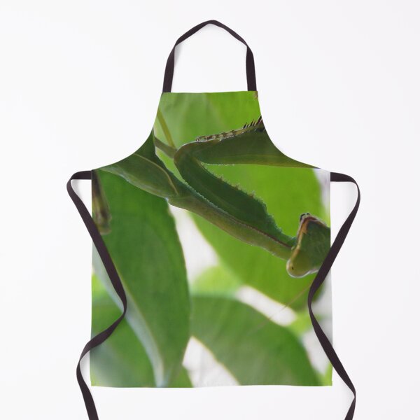 Item preview, Creepy crawly Mantis waits to pounce designed and sold by rayscollection.