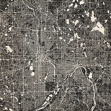 Imagen de la obra Saint Paul map Minnesota Ink lines 2 de InkMaps
