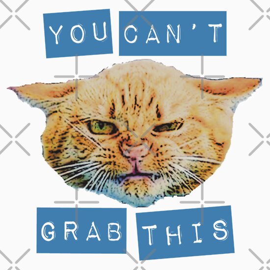 Fuck You Cat: T-Shirts | Redbubble