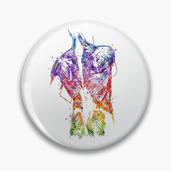 Item preview, Human Back Muscles Colorful Watercolor designed and sold by LotusGifts.