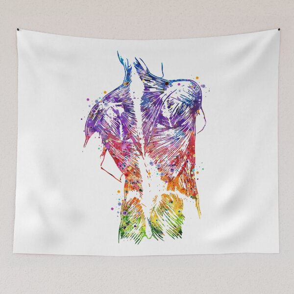 Item preview, Human Back Muscles Colorful Watercolor designed and sold by LotusGifts.
