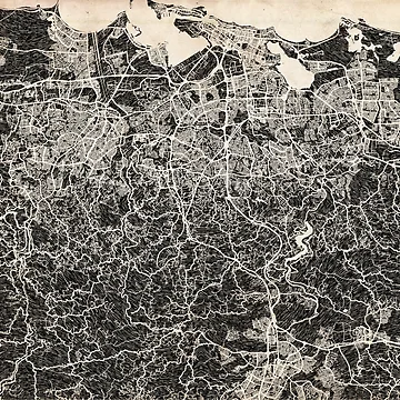 Vorschaubild zum Design San Juan map Puerto Rico Ink lines von InkMaps