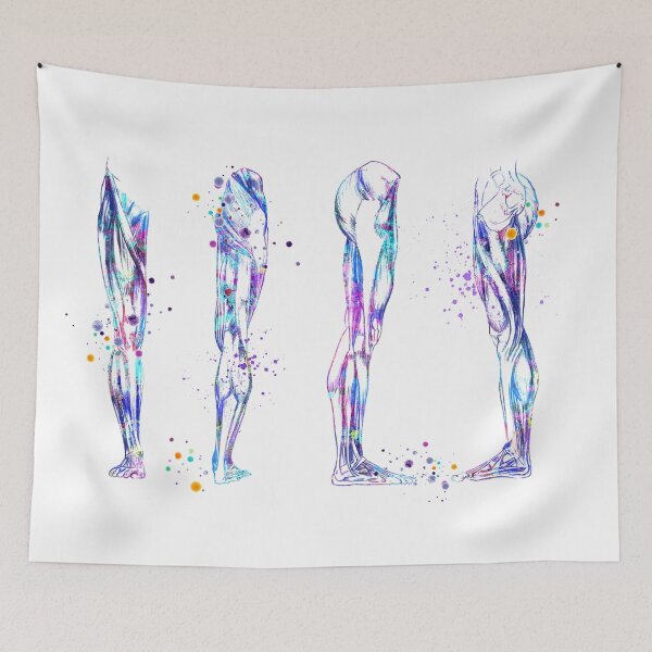 Item preview, Leg Muscles Colorful Watercolor Anatomy designed and sold by LotusGifts.