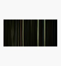 Hidden (2015) Photographic Print