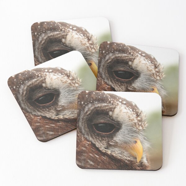 Item preview, African Wood Owl designed and sold by rohitchristo.