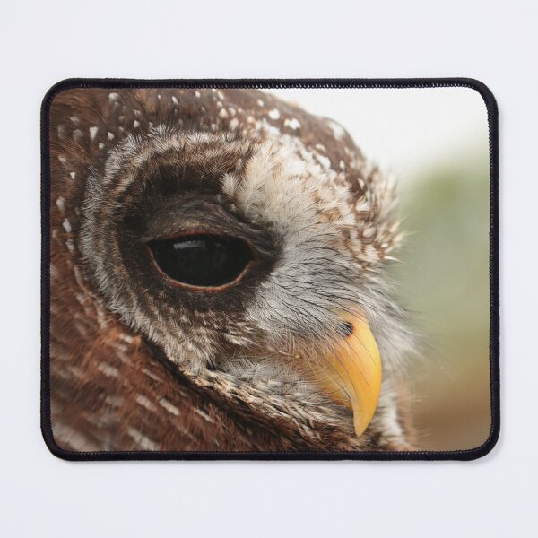 Item preview, African Wood Owl designed and sold by rohitchristo.