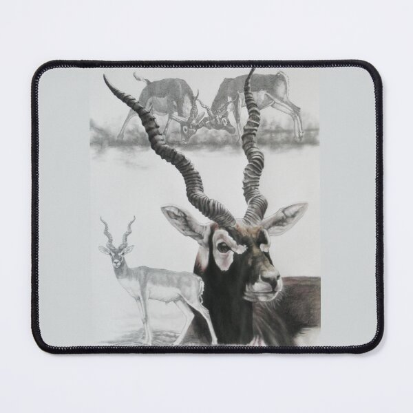 Item preview, Blackbuck Collage designed and sold by BarbBarcikKeith.