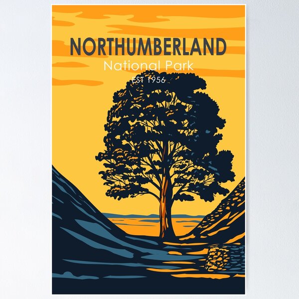 Item preview, Northumberland National Park Sycamore Gap Tree England Vintage designed and sold by KrisSidDesigns.