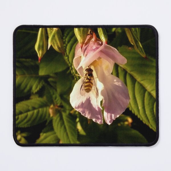 Item preview, Looking - A View designed and sold by Carl Gaynor.