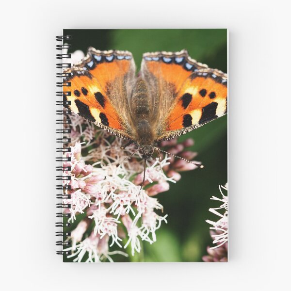 Item preview, Tortoiseshell Butterfly designed and sold by MendipBlue.
