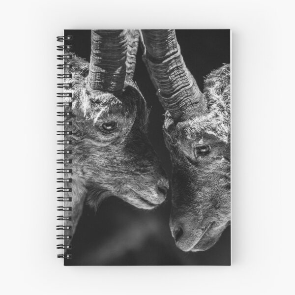 Item preview, Head to head designed and sold by Chee Sim.