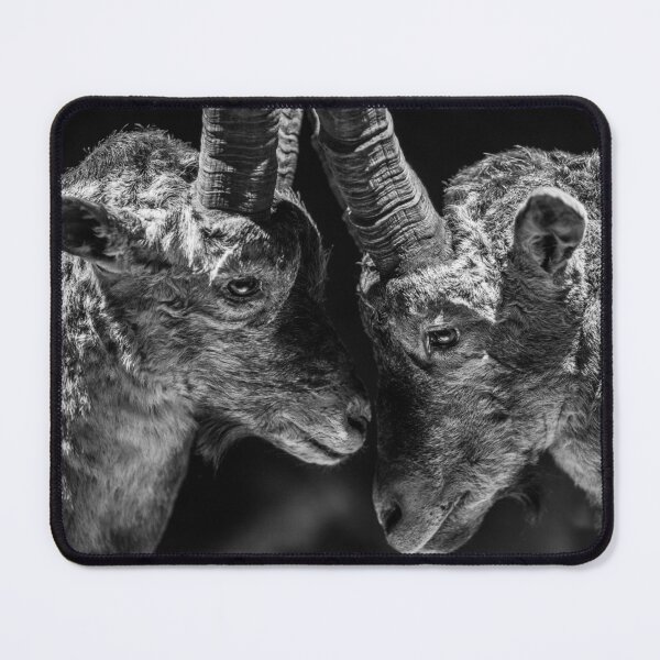 Item preview, Head to head designed and sold by Chee Sim.