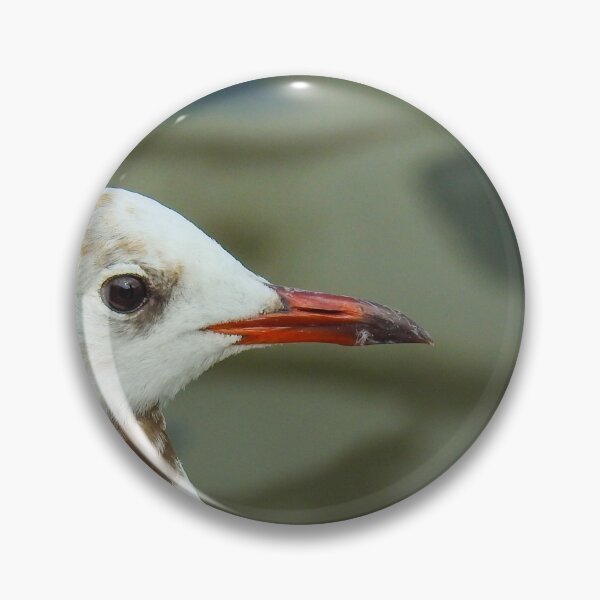 Item preview, Black headed gull close up designed and sold by Anita van Gendt.