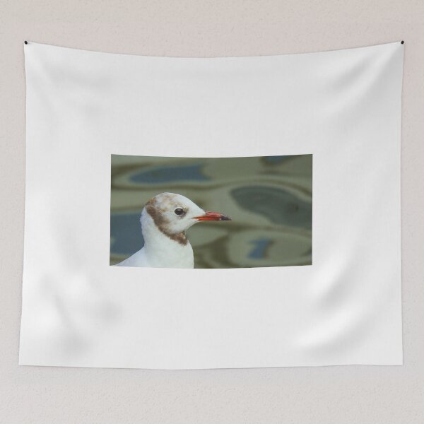 Item preview, Black headed gull close up designed and sold by Anita van Gendt.