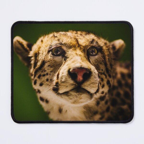 Item preview, Cheetah designed and sold by Chee Sim.