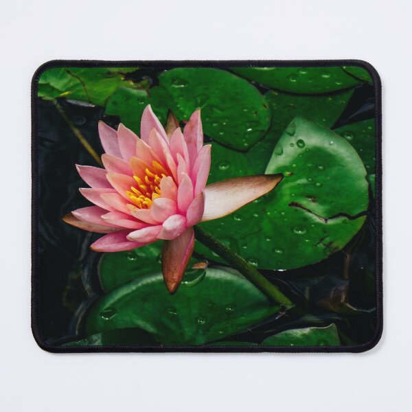 Item preview, Pink Lily Pad designed and sold by Chee Sim.