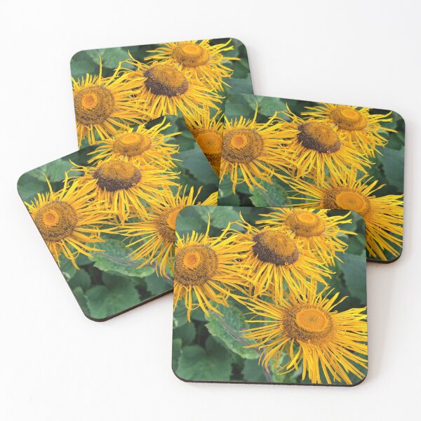 Item preview, A frame full of Inula Sunflowers designed and sold by Violaman.