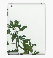 Feige iPad-Hülle & Klebefolie