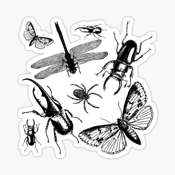 Item preview, Creepy Crawly designed and sold by Ilze Lucero.