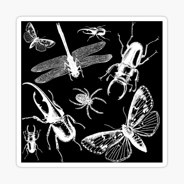 Item preview, White on Black Creepy Crawly Bugs designed and sold by Ilze Lucero.