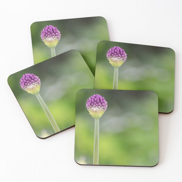Item preview, Blossoming flower macro designed and sold by Esther Hutchcroft.